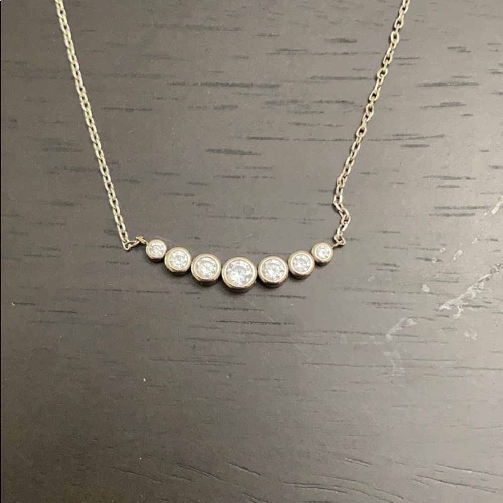 Michael Kors Park Avenue Silver Necklace